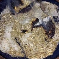 ¡E’a, qué orgullo! el cocido quemado ya es patrimonio cultural del Paraguay
