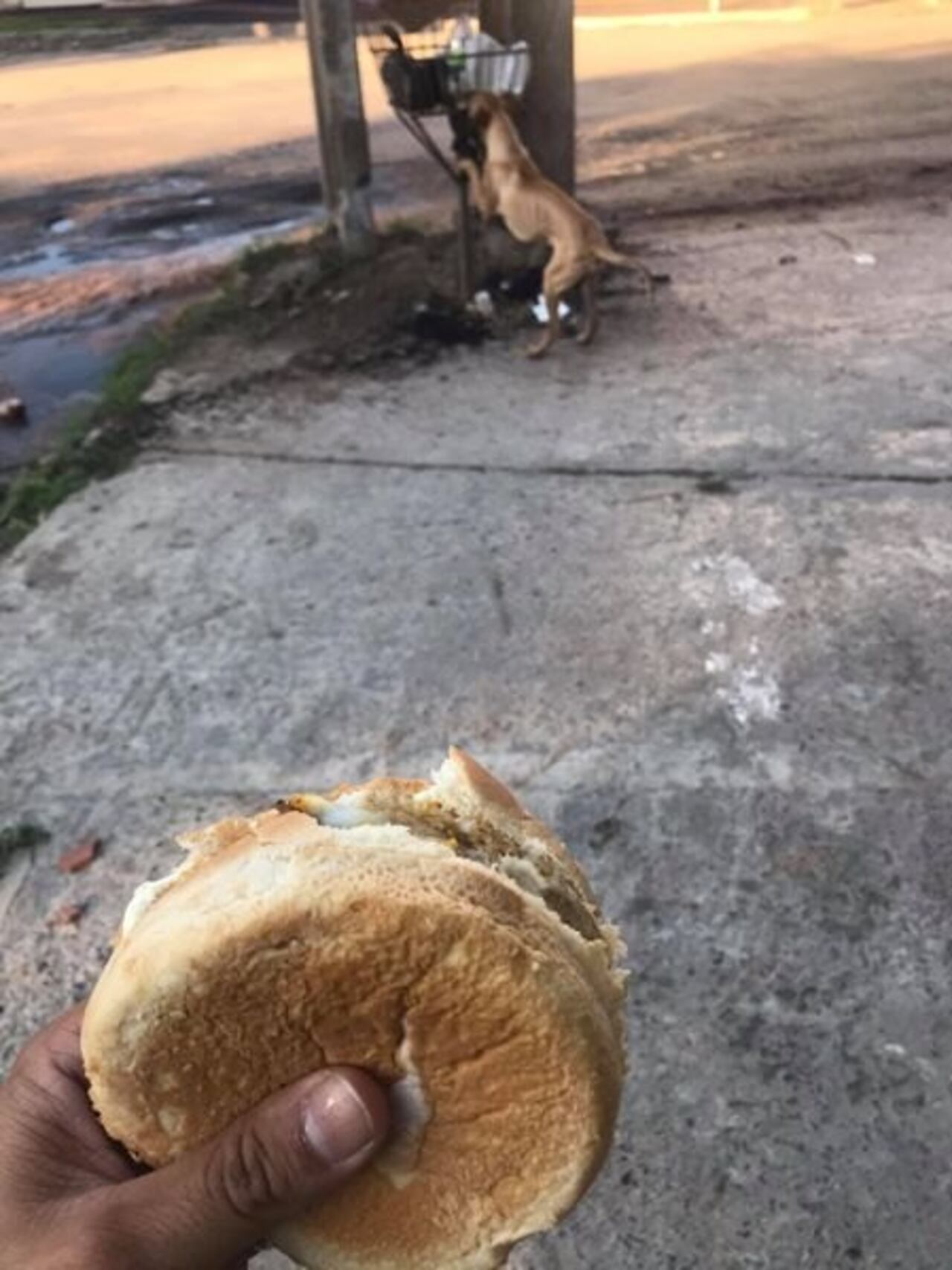 Foto: José Ferreira