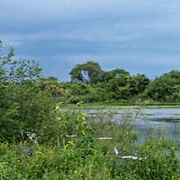El río Paraguay mete miedo, está a solo 30 centímetros del nivel de alerta en Asunción