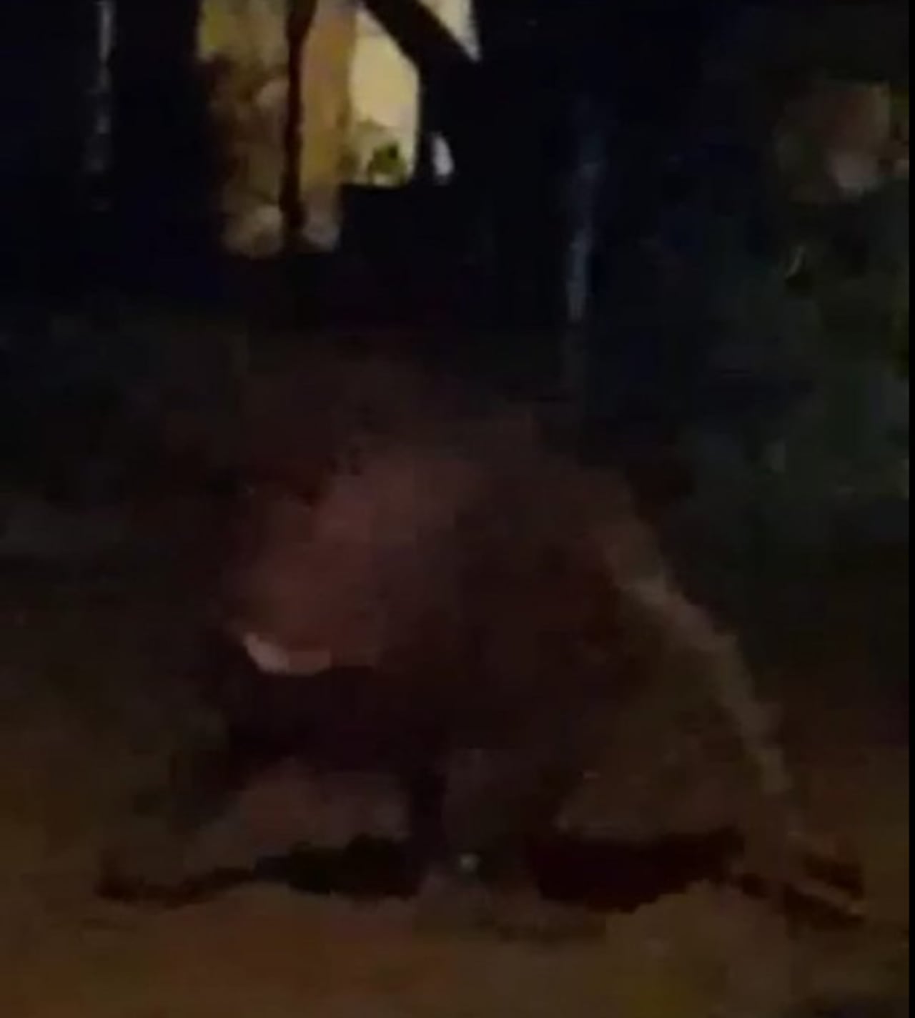 Gabino comentó que loperro empezaron a ponerse nerviosos tras ver al hombre.