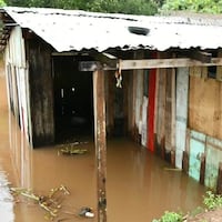 El río Paraná amenaza con avanzar y más familias podrían quedar sin casa