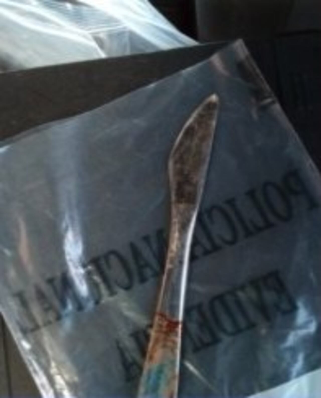 INCAUTADA. El arma utilizada para acabar con la vida de la joven.