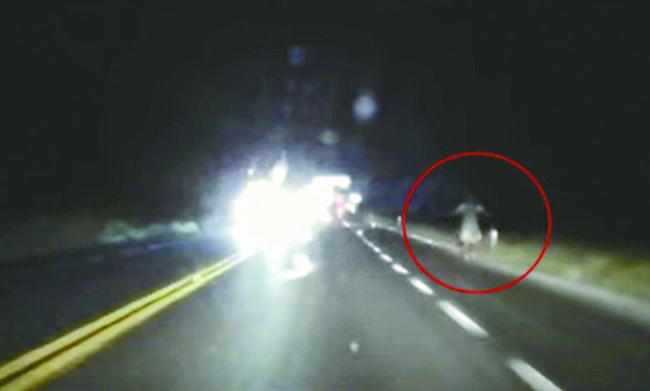 Esta imagen se registró el 18 de julio de este año, en una carretera que une Saltillo con Torreón, en México. El usuario deYouTube Eder Olivas compartió lo que registró la cámara de su auto: una mujer de blanco, corriendo y que luego desaparece.