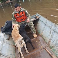 Los peluditos también son rescatados de la crecida del Paraná