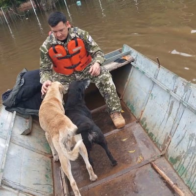 Los peluditos también son rescatados de la crecida del Paraná