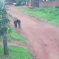 Acosador detenido, atropellado en zona Terminal y refuerzo policial