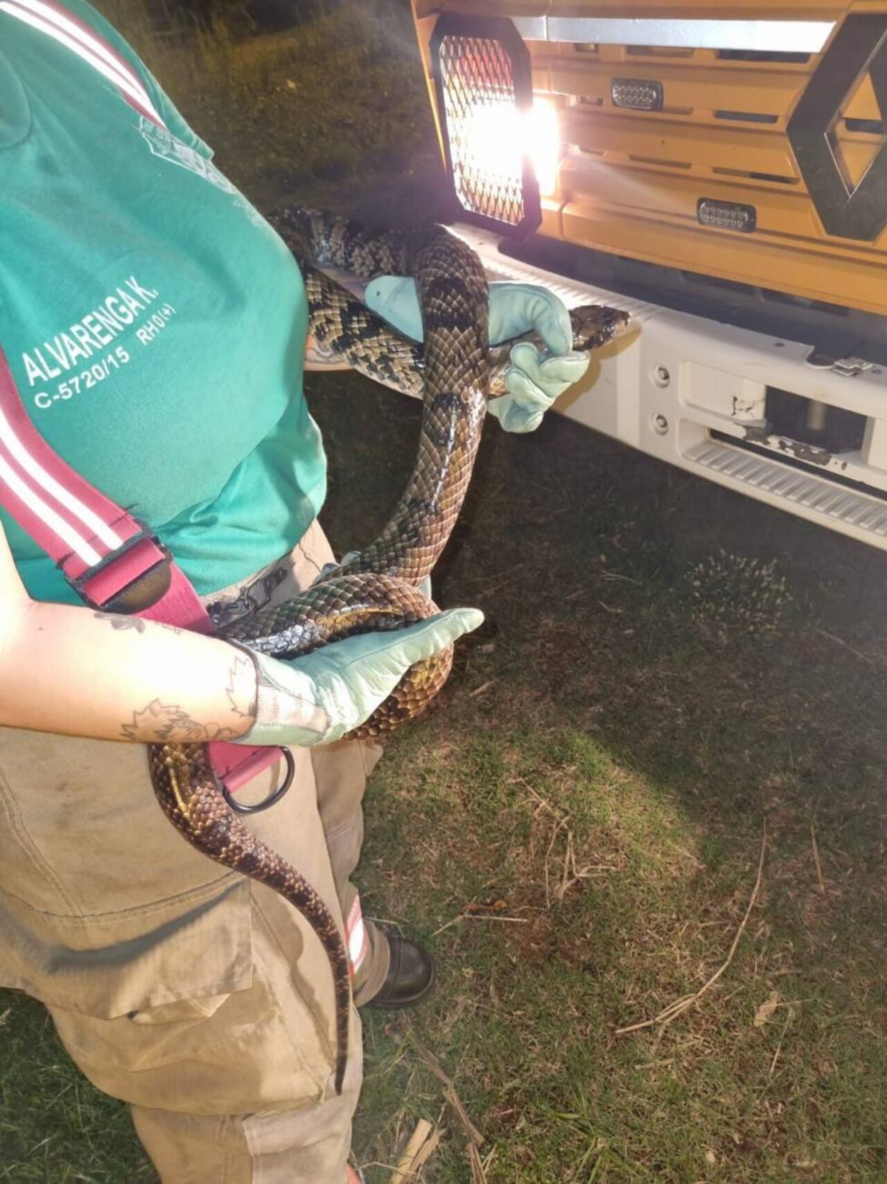 Para ella, acariciar un reptil es como acariciar un perro. (Gentileza)