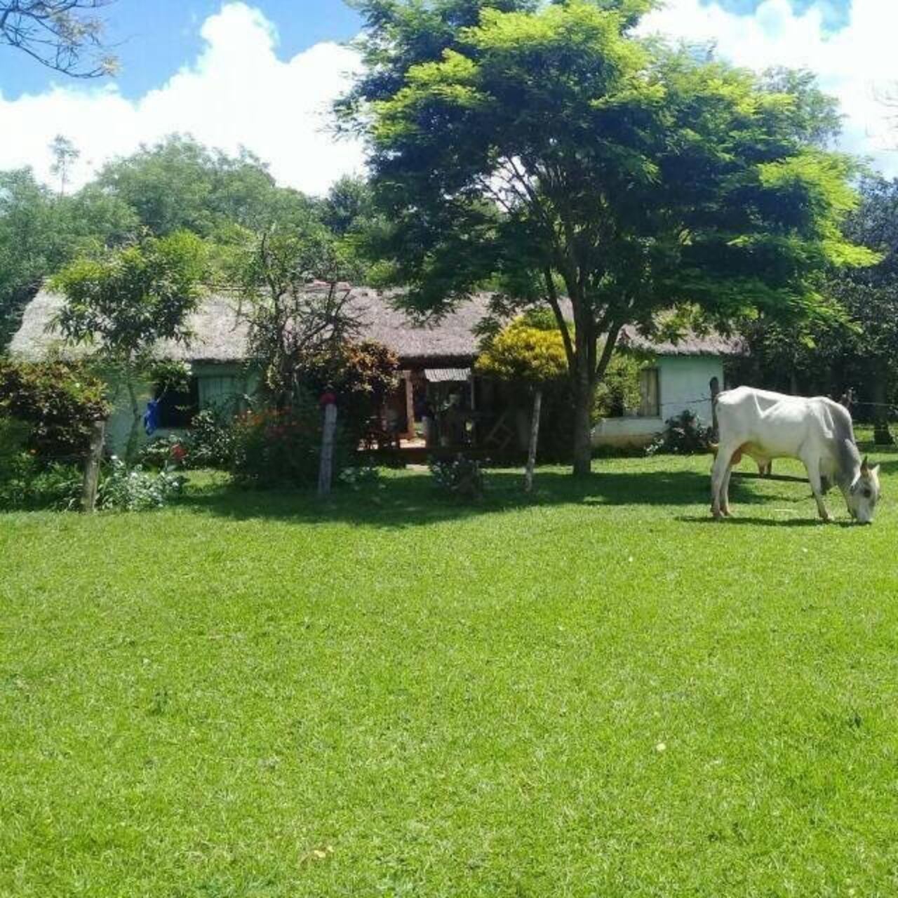 Esta es la casa de Cristian Núñez, en Itapé, donde viven sus padres.