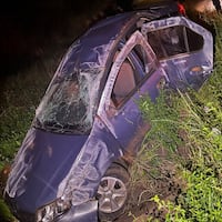 Por esquivar un perro terminó dando vueltas
