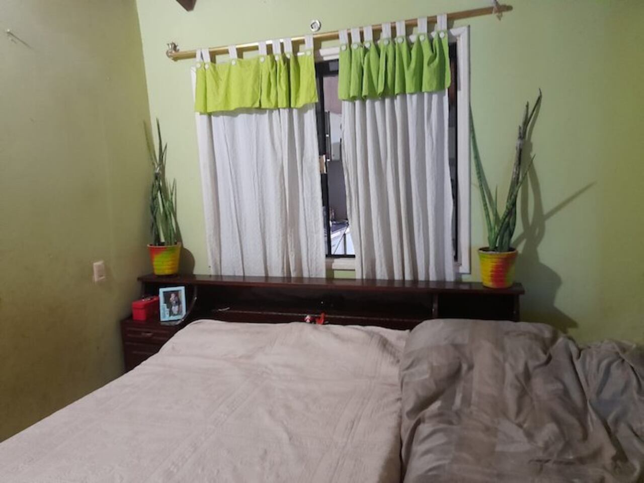 Ña Nidia colocó estas plantas en su pieza.