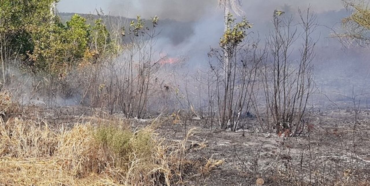 El peligro de fuego durará seis años por fenómeno de sequía en toda la región, explicó bombero.