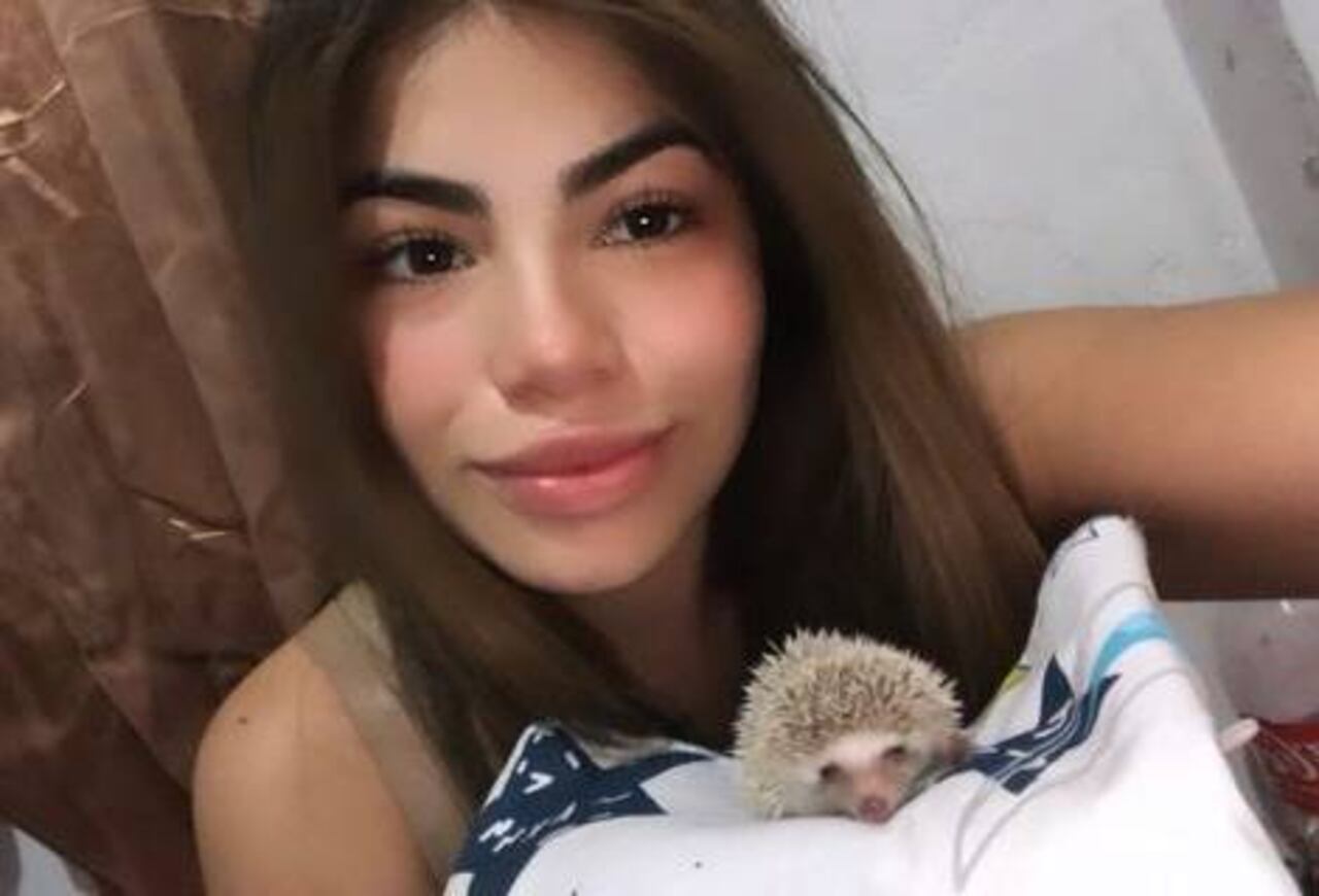 "Espinita" es la mascota erizo de la modelo. (Foto: @deelannis)
