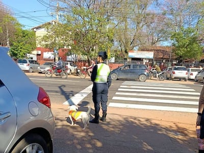 “Muchacho”, el fiel “adjunto” de una policía capiateña