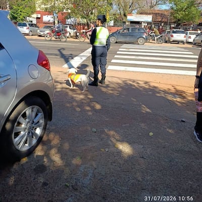 “Muchacho”, el fiel “adjunto” de una policía capiateña