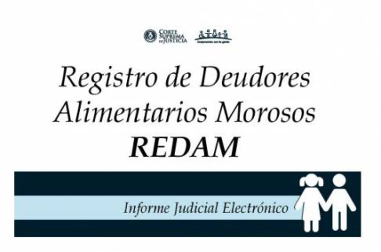 La Cortes Suprema de Juticia habilita plataforma web del Registro de Deudores Alimentarios Morosos. (Foto: Gentileza)