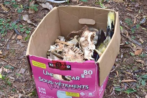 Masacre perruna ¿Faenaba y vendía para comer?