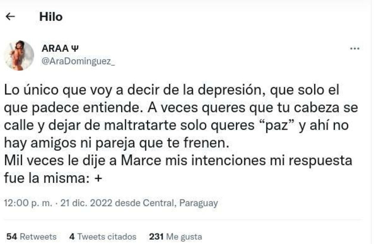 La publicación de Ara Domínguez en el Twitter.