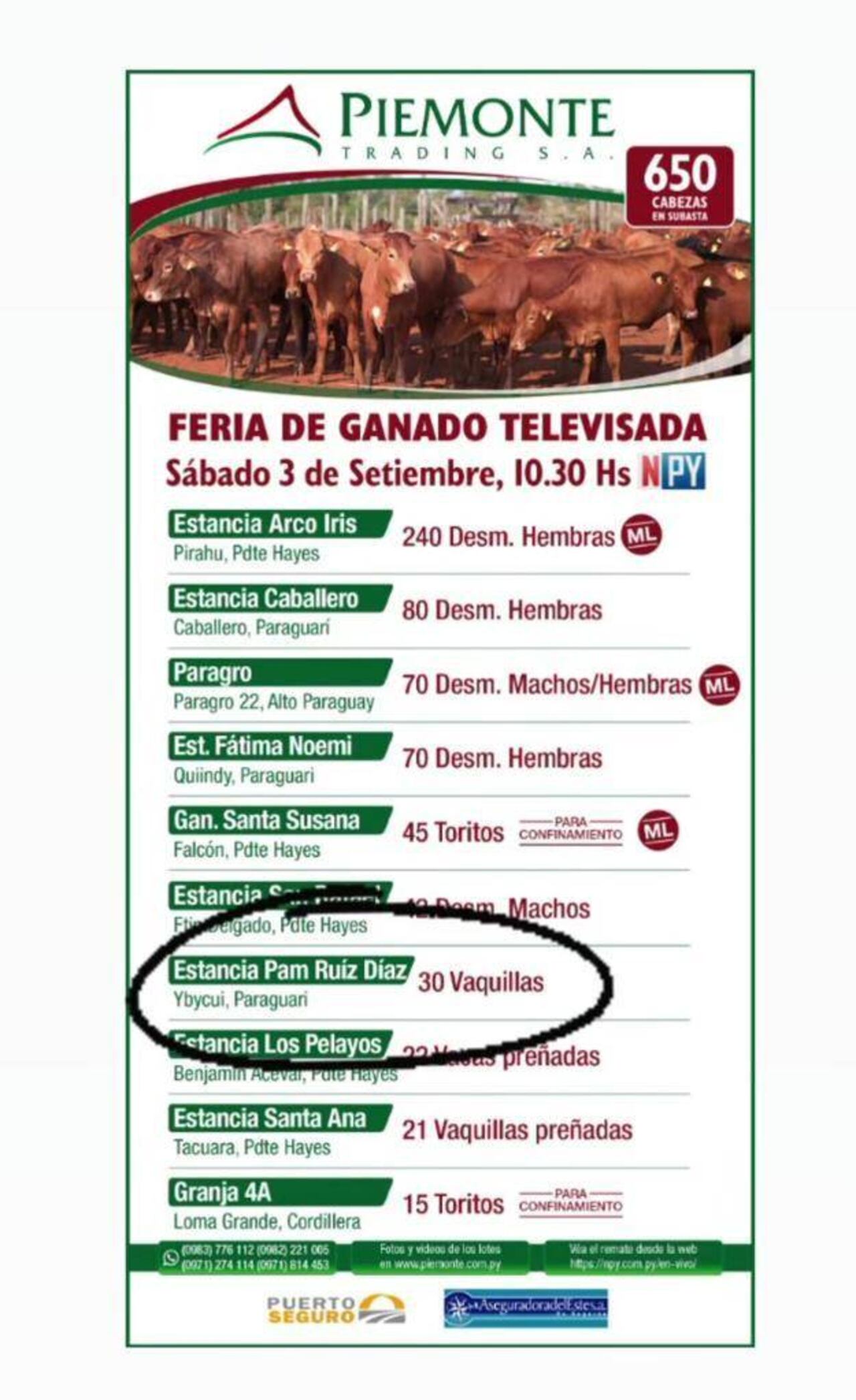 El afiche del remate, donde figura el nombre de la estancia de la modelo.