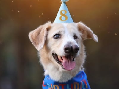El novio del mundial estuvo de cumple, farreó por sus 8 años