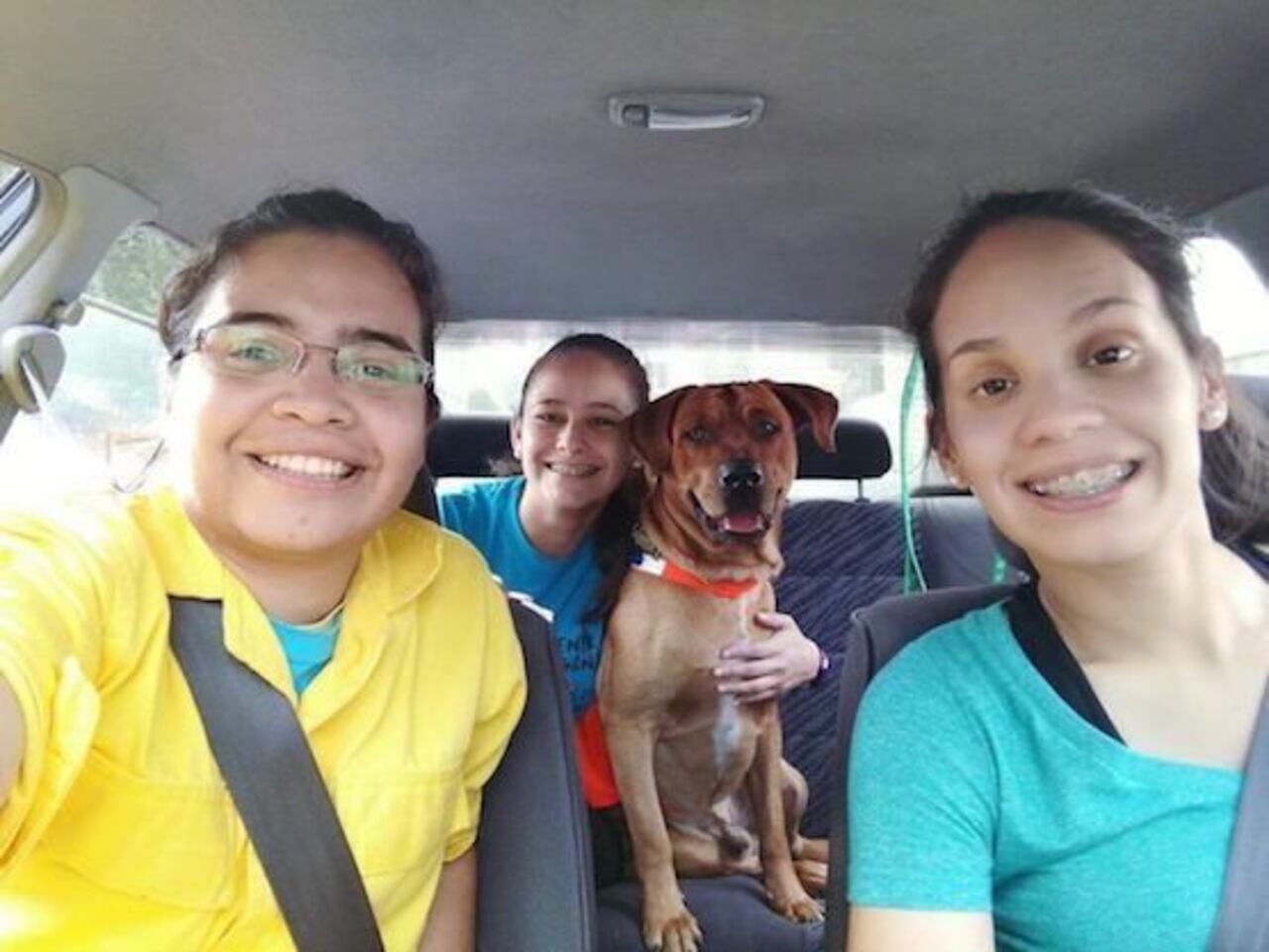 MAMÁS. Las mamis que deciden las frases que poner porla foto del perruno “facebuquero”.
