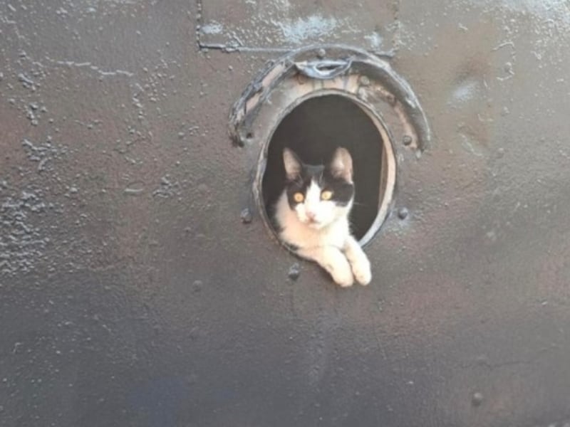 Barlo, el pequeño tripulante que navega con la Armada Paraguaya