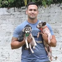 Policía que rescata animales será reconocido por Diputados
