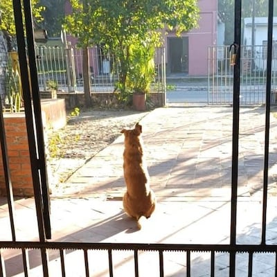 “Rubito”, el inquebrantable guardián del Colegio