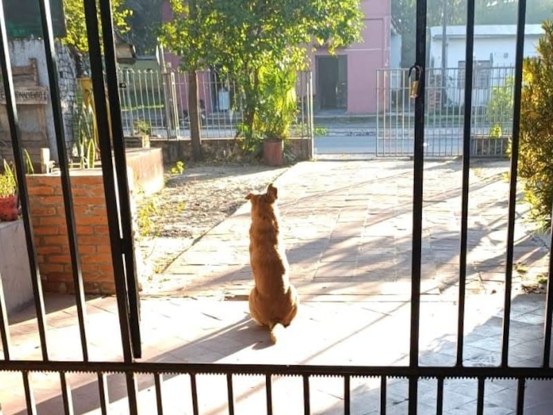“Rubito”, el inquebrantable guardián del Colegio