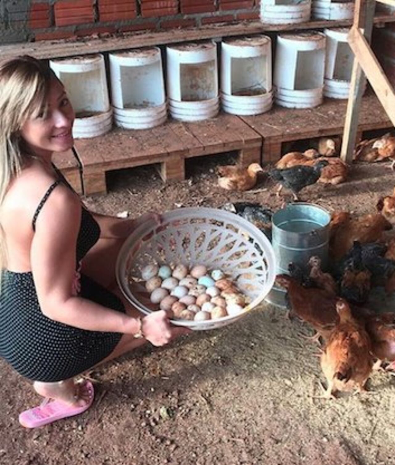 HUEVOS. A diario, la cuerona recoge cerca de 3 docenas de huevos.