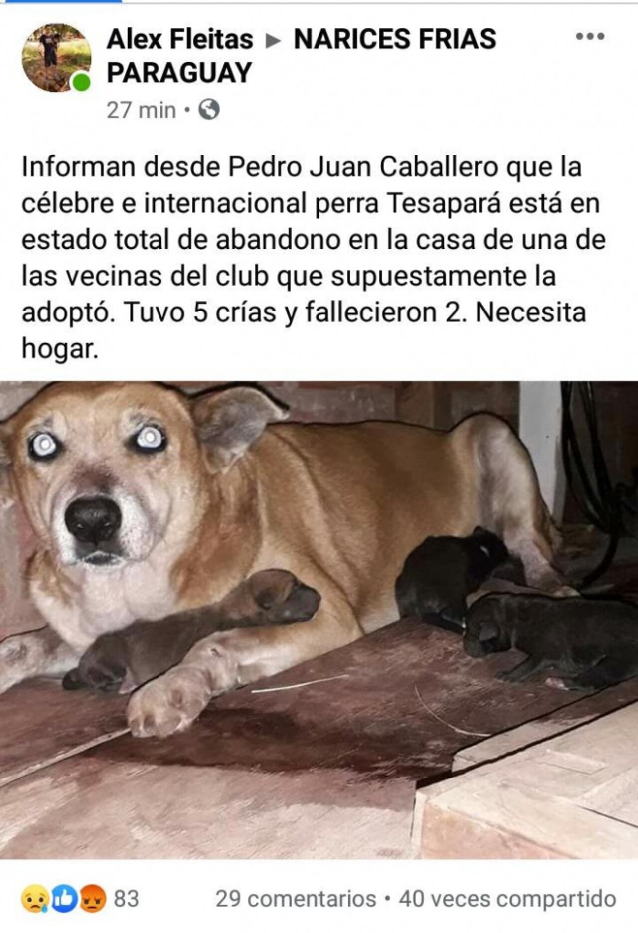 Denuncia que se hizo en las redes sociales