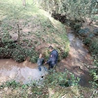 Tavyrai habría intentado ahogar a su hija de 5 meses