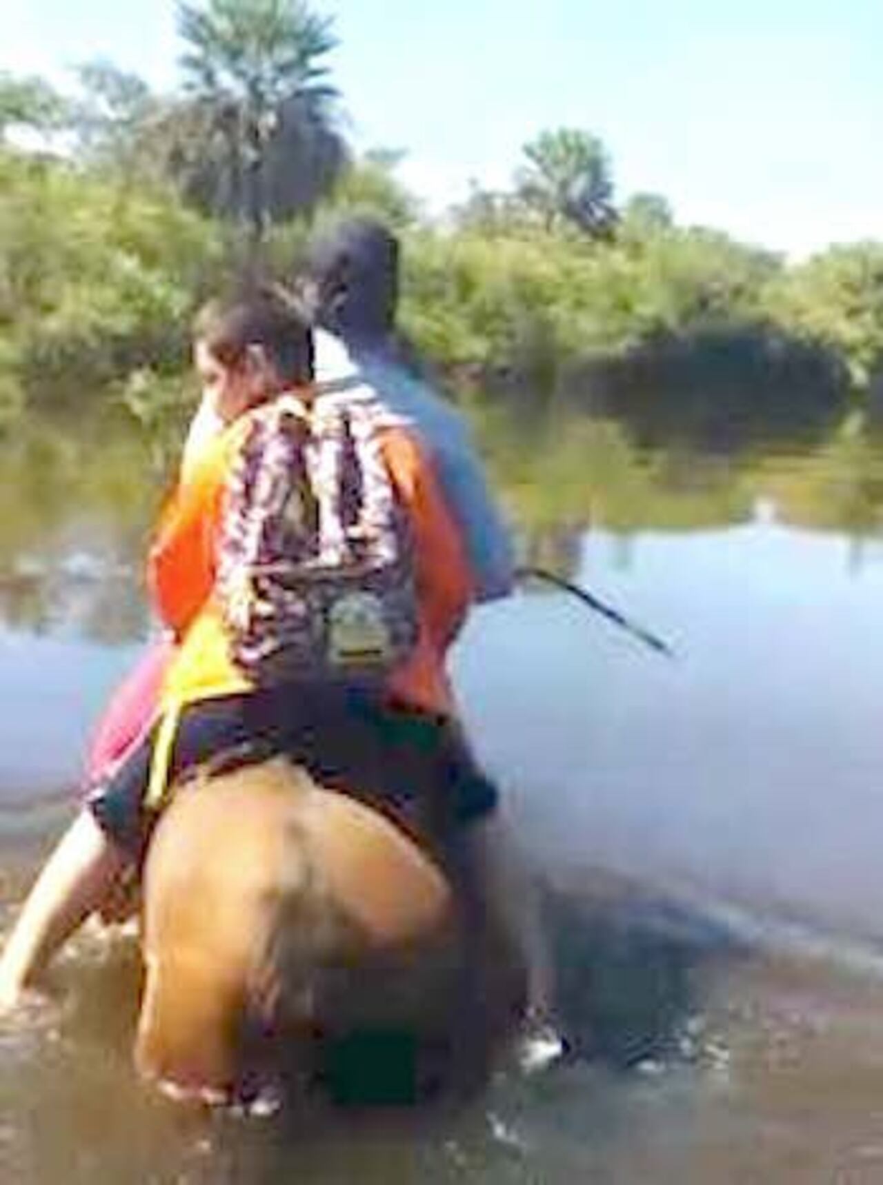 Doña Andresa le busca a su hijo en caballo ra’e.