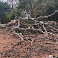 Mami y su hijo mueren aplastados durante temporal