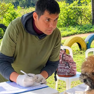 ¡Atención, dueños de mascotas! La Castratón cambia de fecha