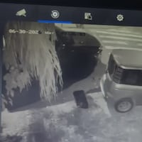 Pide ayuda para identificar al que atropelló su vehículo