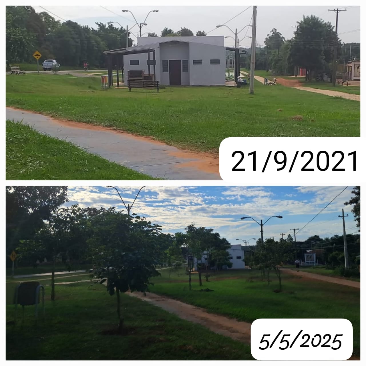 El proceso de arborización que tuvo la ciclovía de Caazapá.