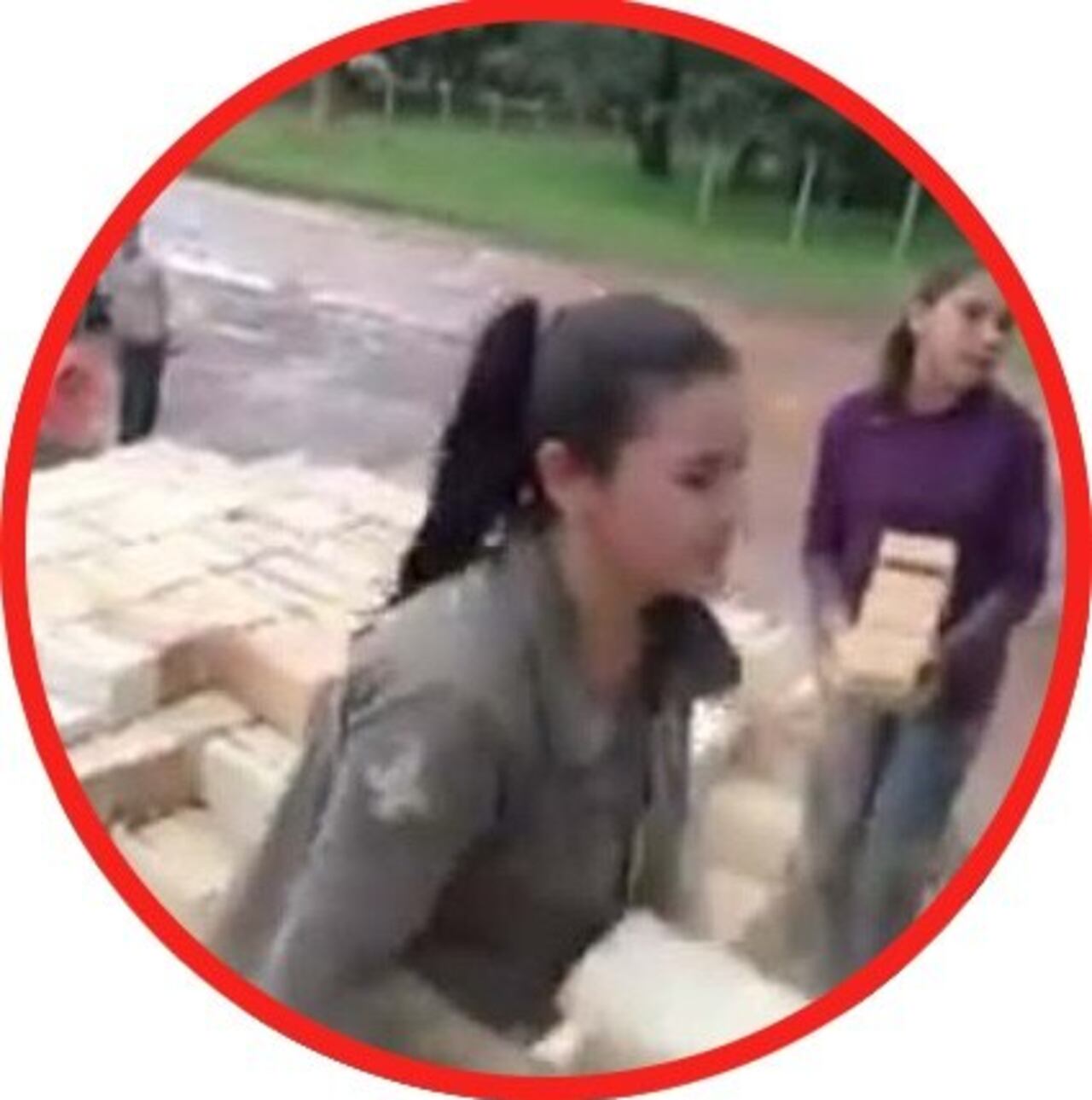 Ellas avei reparten el ladrillo como todos los hombres.