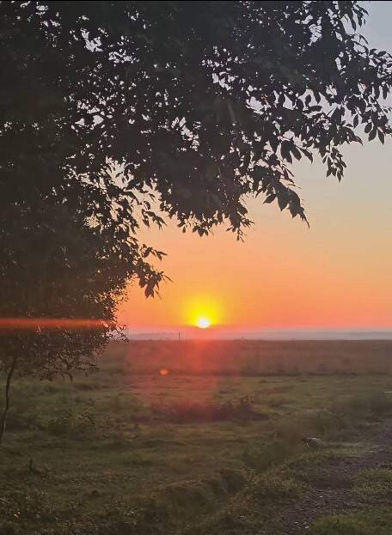 El bello amanecer que se puede disfrutar en el campo.