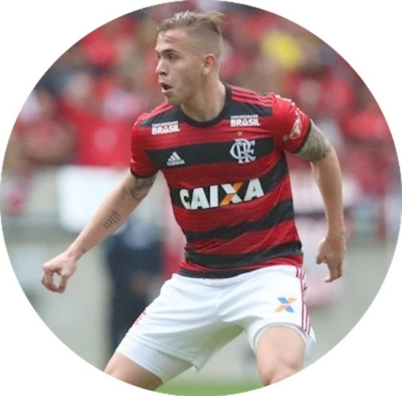 Robert Piris da Motta, otro que avei interesa.