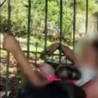 ¡Pobrecito! Buscando su pelota, trancó su brazo por la reja