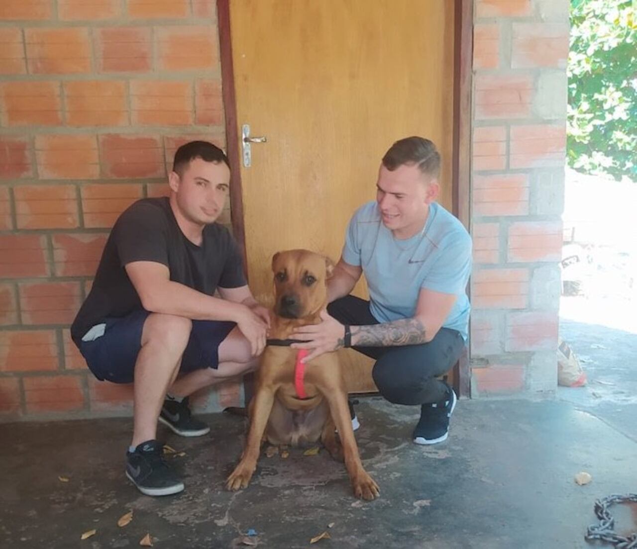 Richard contó que el perrito es muy juguetón y ya causó varios destrozos en medio de sus aventuras.