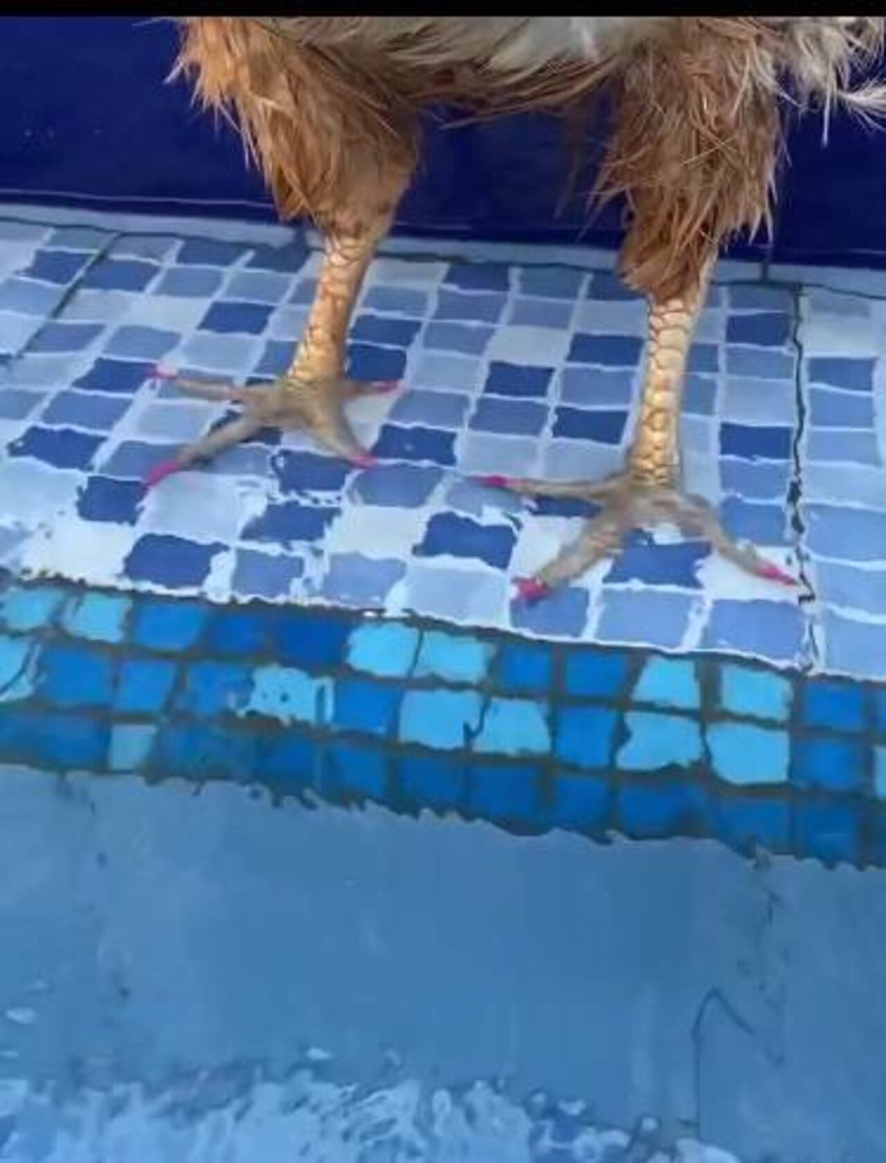 Pileteando un poco.