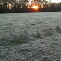 Ou ou hína la ro’y: Tiran consejos para el campo done hará 3 graditos