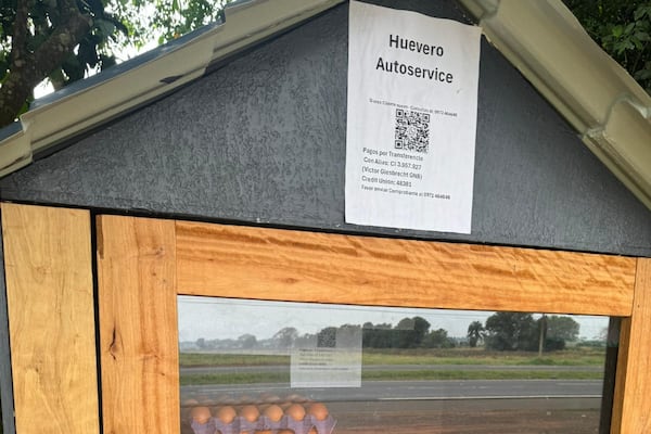 Cajero automático de huevos es sensación