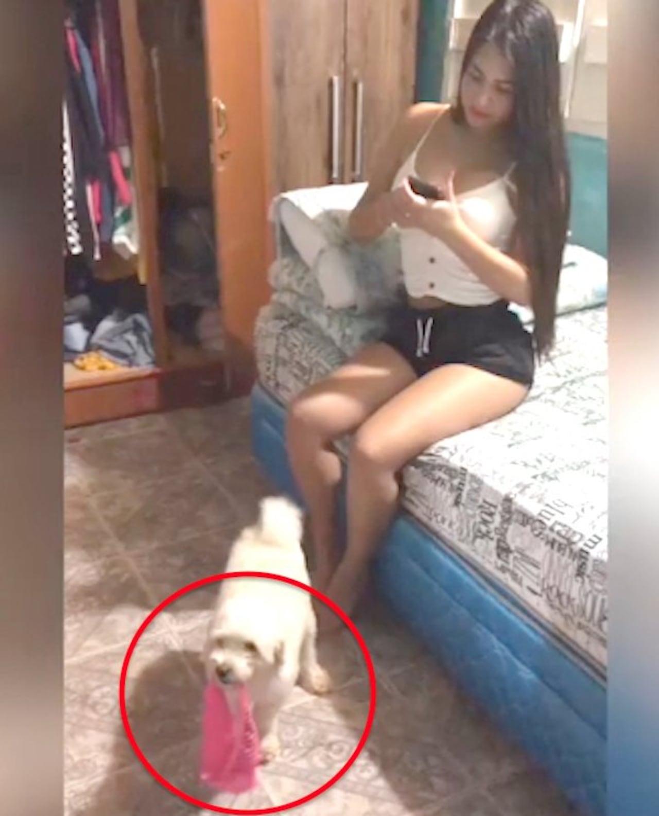 La modelo compartió un video en el que se ve a su guagui corriendo con una de sus prendas.