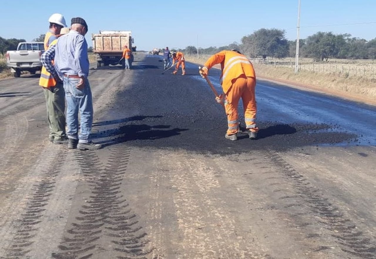 La Ruta Bioceánica amenaza con hacer desaparecer el nicho.