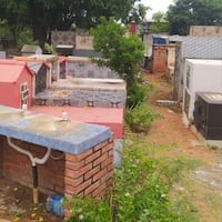 Sombra negra hizo que ya ¡no vuelva al cementerio!