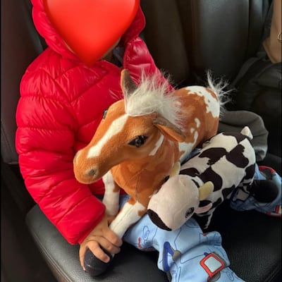 Madre desesperada ofrece recompensa a quien devuelva el peluche de apego de su bebé