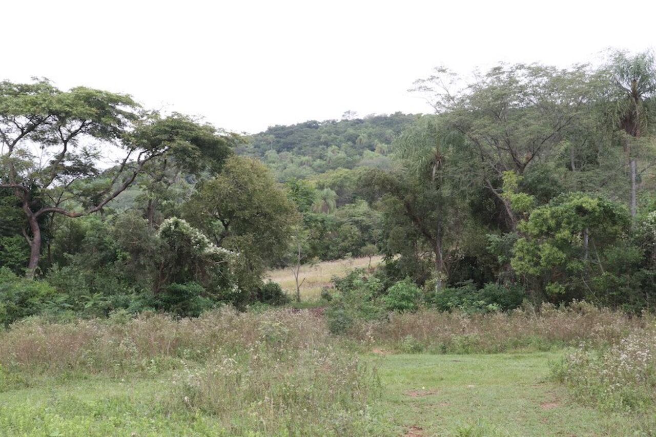 El cerro de Pirayú donde aparece.