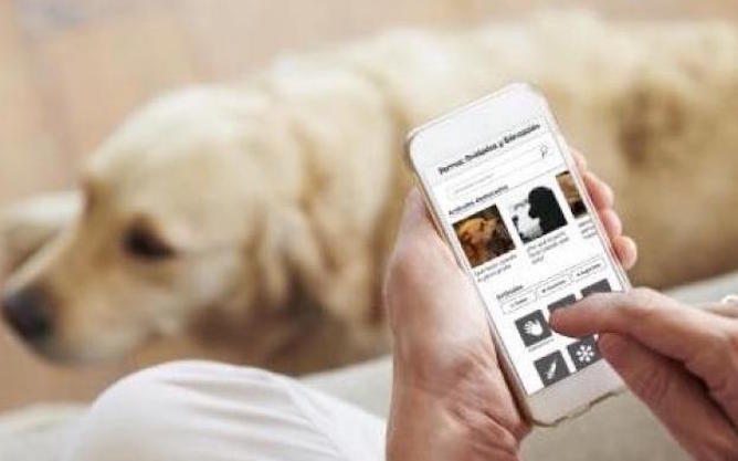 Las apps que te ayudan  a cuidar de tu mascota